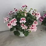 Casa vacanze Frailes 28